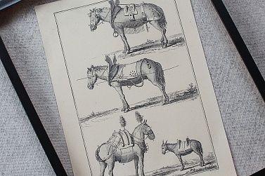 Постер "Лошади"