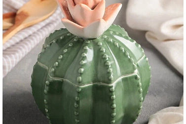 Керамическая банка Cactus
