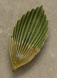 Блюдо узкий пальмовый лист
