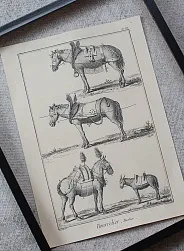 Постер "Лошади"